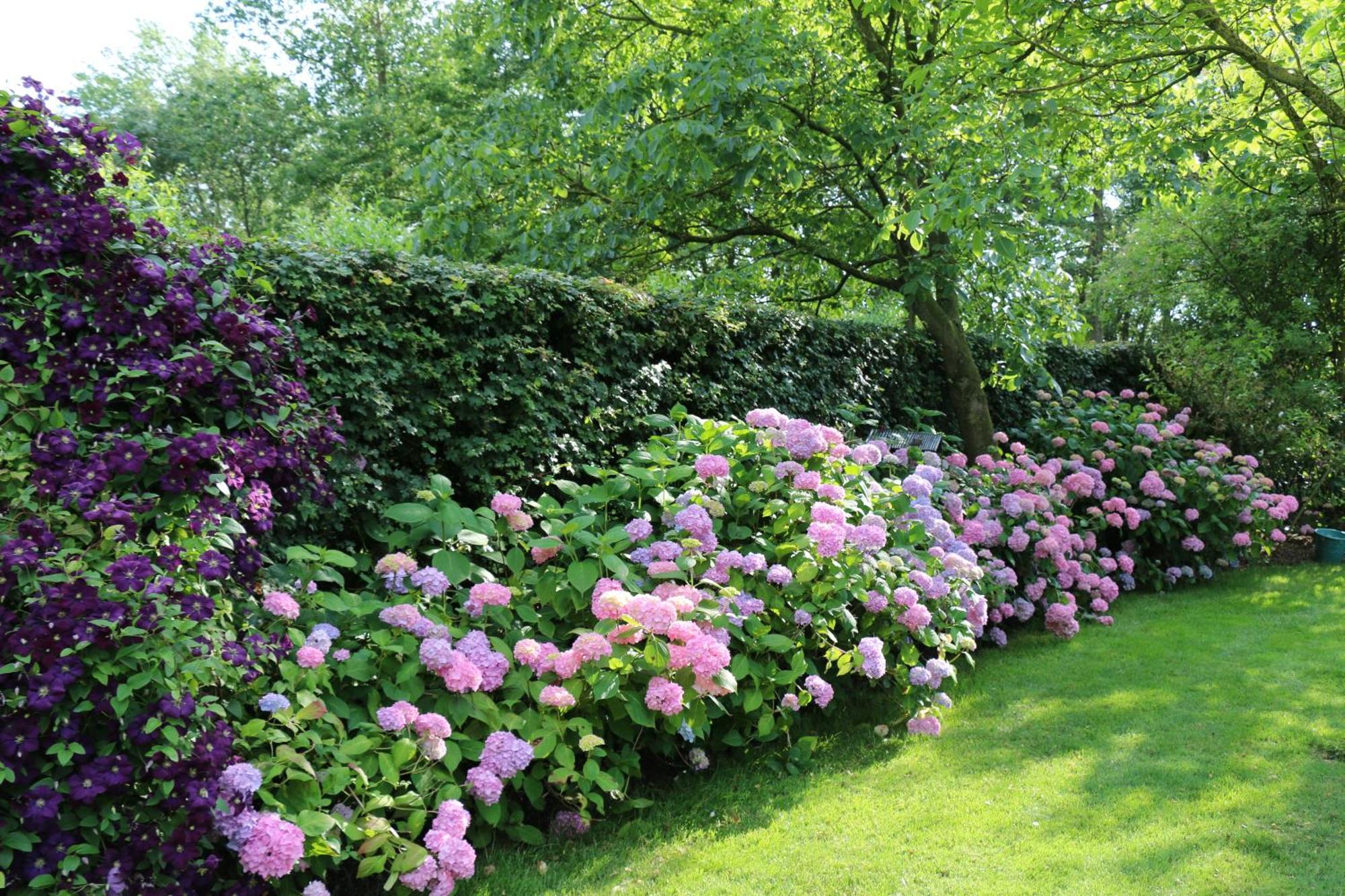 B&B Pronkenburg Bruges Luaran gambar