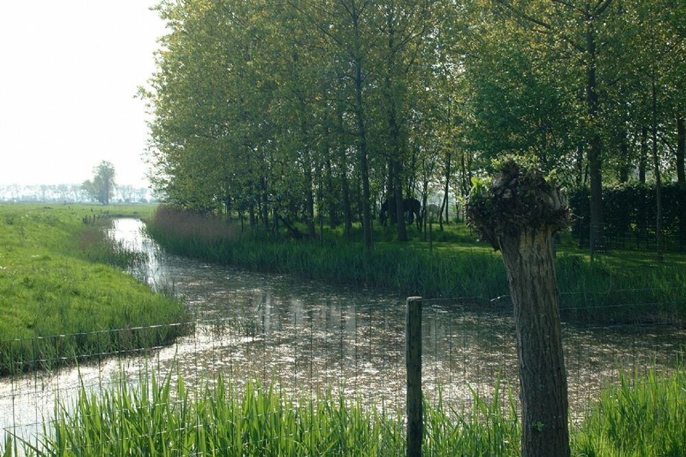 B&B Pronkenburg Bruges Luaran gambar