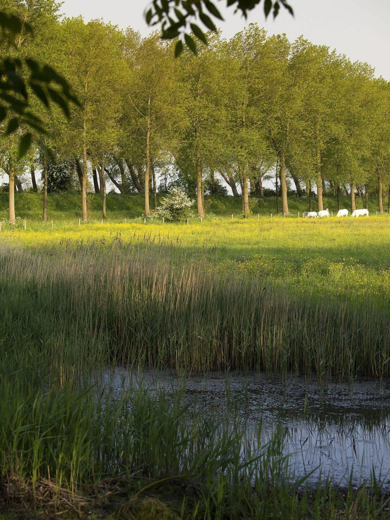 B&B Pronkenburg Bruges Luaran gambar